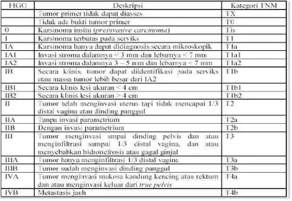 Gambar 2.1. Klasifikasi Stadium Klinik menurut FIGO 