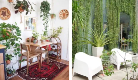 Gambar 1.3 LOF Plants and Kitchen indoor dan outdoor 