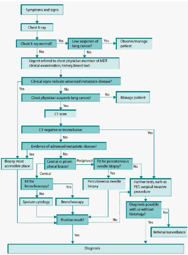 Tabel 6. Algoritma Diagnosa Kanker P