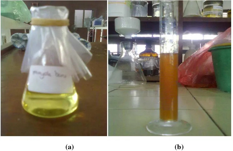 Gambar 4.4 : minyak goreng dalam keadaan baru (a), minyak goreng bekas sebelum adsorpsi  (b) 