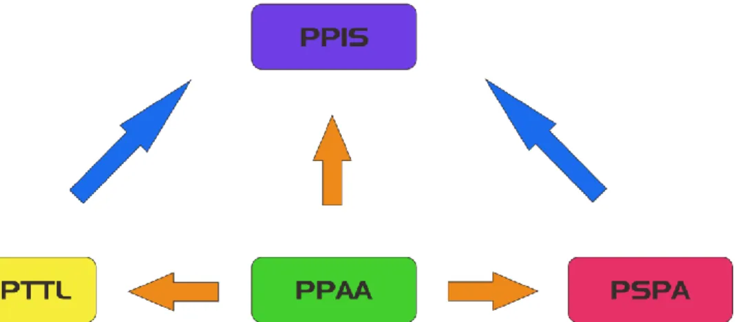 Gambar 3-2 Hubungan antara program teknis (PPIS) dengan program generik (DMPTTL, PSPA,  dan PPAA)
