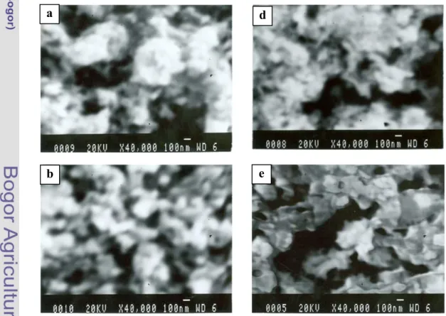 Gambar 15 Morfologi HAp sintetik dengan perbesaran 40.000 kali (a). HAp 40 o C air, (b)