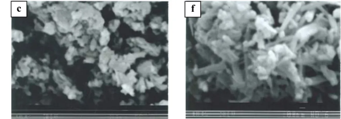 Gambar 16 Morfologi HAp sintetik dengan perbesaran 40.000 kali (c). HAp 90 o C air, (f)