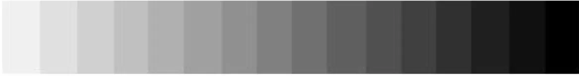 Gambar 2.6 Grayscale level 