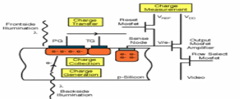Gambar 2.8 Pembagian komponen sensor CCD 