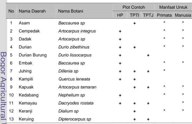 Tabel 8.  Jenis-Jenis pohon Pakan dan Pohon Tidur Owa Kalimantan (Hylobates  muelleri)  di Plot Penelitian  