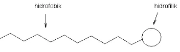 Gambar 2.2 Gambar suatu molekul surfaktan (Tang, 2011). 