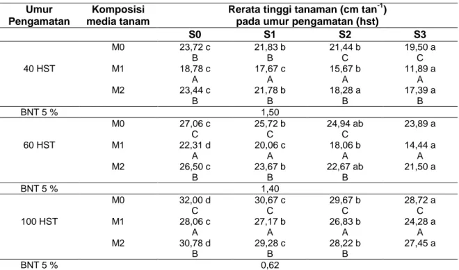 Tabel  1  Rerata  tinggi  tanaman  (cm  tan -1 )  akibat  interaksi  antara  perlakuan  komposisi  media  tanam dan ukuran bibit pada umur pengamatan 40, 60 dan 100 hst 