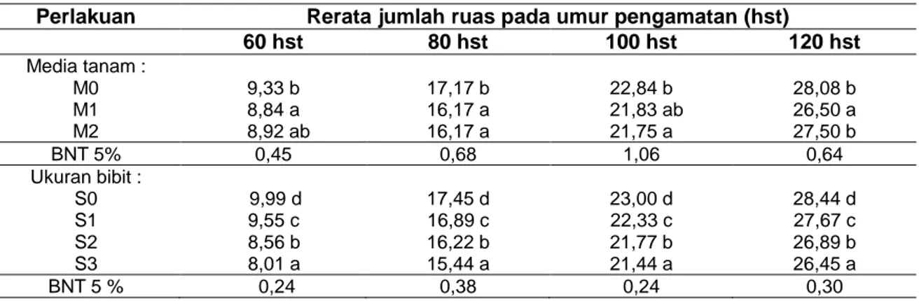 Tabel  5  Rerata  jumlah  ruas  batang  akibat  perlakuan  komposisi  media  tanam  dan  ukuran  bibit  pada umur pengamatan 60, 80, 100 dan 120 hst 