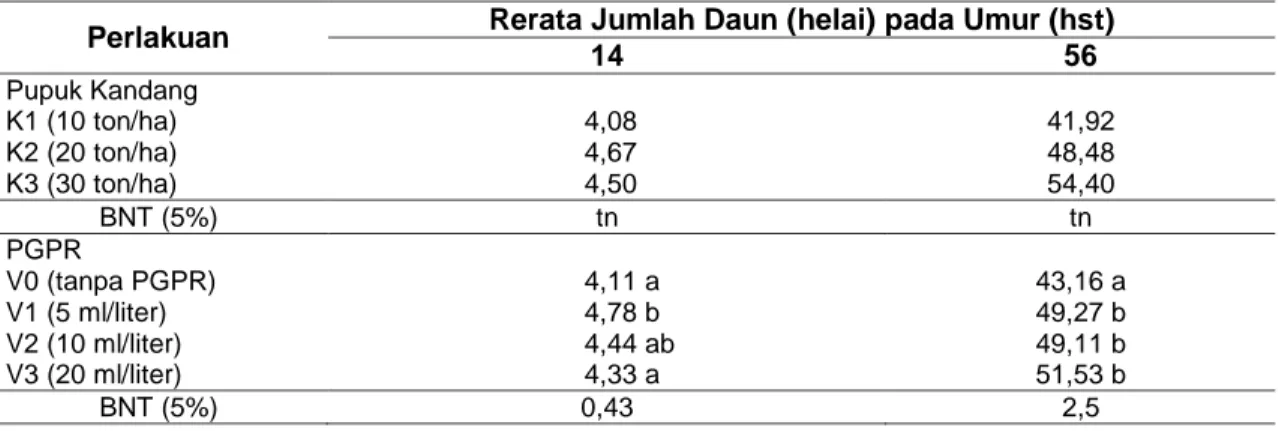 Tabel  4  Rerata  Jumlah  Daun  Terung  Gelatik  Varietas  Kenari  pada  Perlakuan  Berbagai  Dosis  Pupuk Kandang Kambing dan Konsentrasi PGPR Umur 14 Dan 56 HST