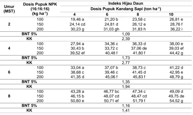 Tabel 4   Rerata  indeks  hijau  daun  akibat  interaksi  perlakuan  pupuk  NPK  dan  pupuk  kandang  sapi  Umur  (MST)  Dosis Pupuk NPK (16:16:16)   (kg ha -1 ) 