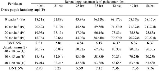 Tabel  1.  Pengaruh  dosis  pupuk  kandang  sapi  dan  jarak  tanamam  terhadap  tinggi               tanaman