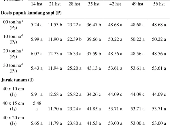 Tabel 3. Pengaruh dosis pupuk kandang sapi dan jarak tanam terhadap jumlah cabang primer per  rumpun   