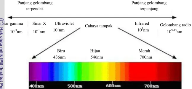 Gambar 1. Visible spectrum (Suhendra 2011) 