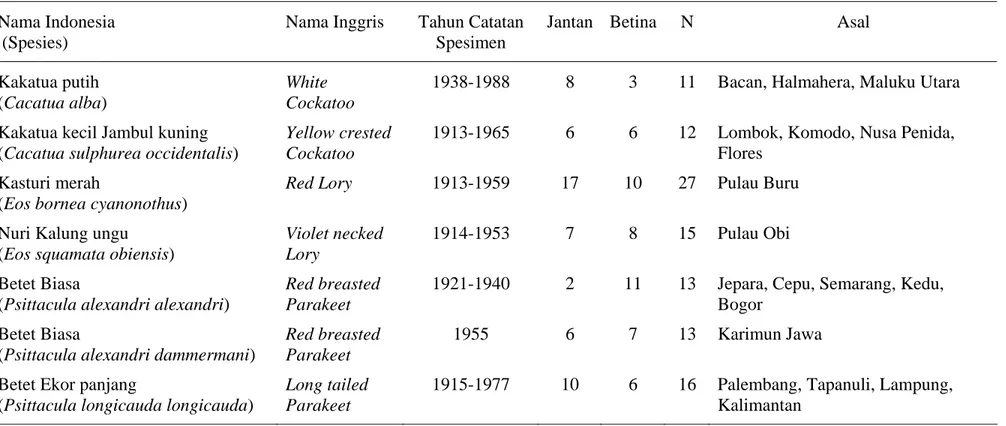 Tabel 1. Daftar Spesimen Burung Bayan-bayanan yang Digunakan pada Penelitian  Nama Indonesia 