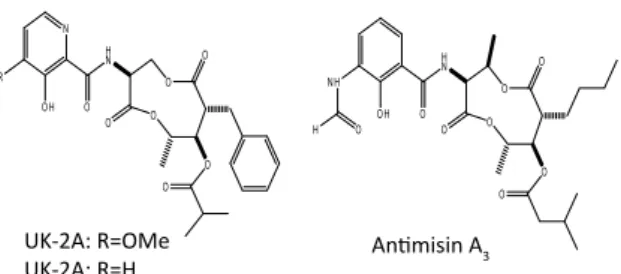 Gambar 1. Struktur molekul UK-3A dan kemiripan  struktur terhadap antimisin A 3