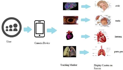Gambar 4. Augmented Reality System Visualized Human Organ Anatomy 