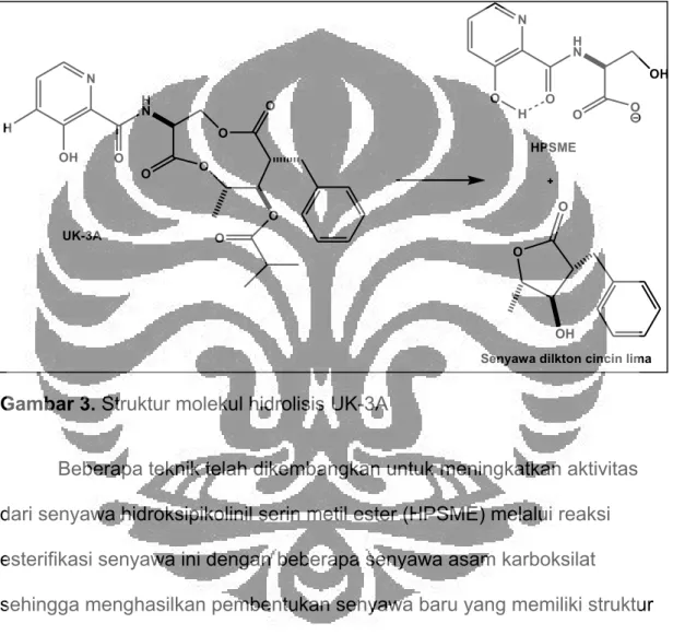 Gambar 3. Struktur molekul hidrolisis UK-3A 