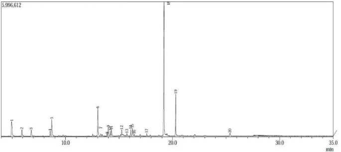 Gambar 3.  Analisis GC MS minyak kayumanis dengan proses hidrodistilasi vakum 