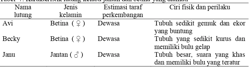 Tabel  7. Karakteristik lutung kelabu jantan dan betina yang diamati 