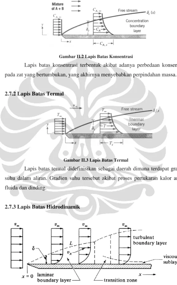 Gambar II.2 Lapis Batas Konsentrasi