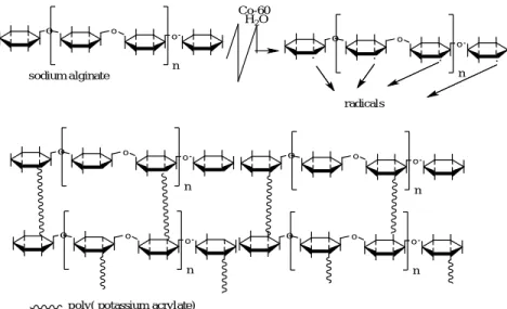 Figure 4. Effect NaAlg concentrations on gel action of hydrogels  prepared  using  irradiation  at 10 kGyCH2=CH-COOHH2C= C-COKO+H2O (1)