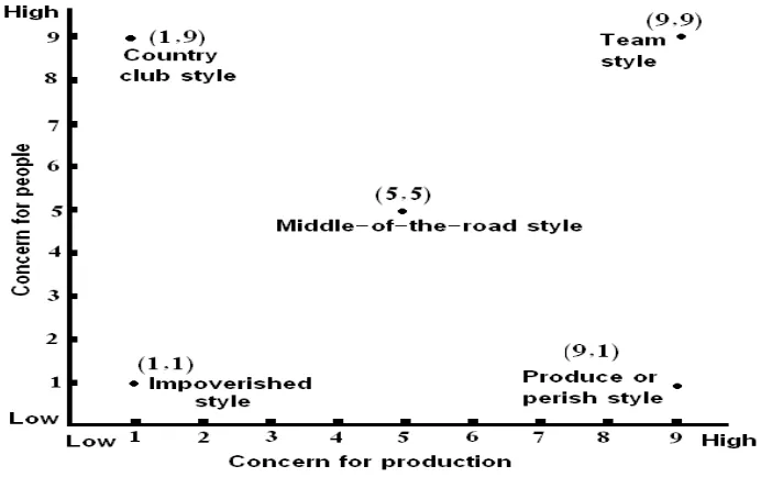 Gambar 2. 1 Grafik Representasi Manajerial