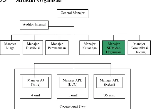 Gambar 3.1  Struktur Organisasi Perusahaan 