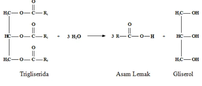 Gambar 2.1. Reaksi Trigliserida 