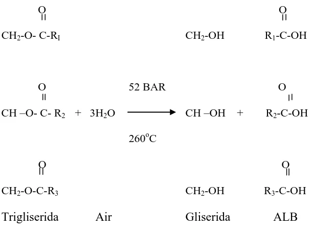 Gambar 2.1 reaksi glikolisis,trigliserida 