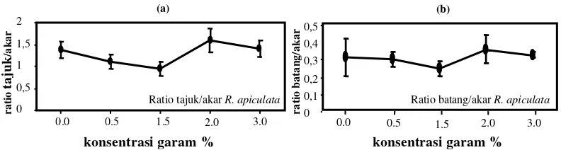 Gambar 8.   Ratio tajuk/ akar (g), ratio batang/ akar semai R. apiculata pada umur 22 MST