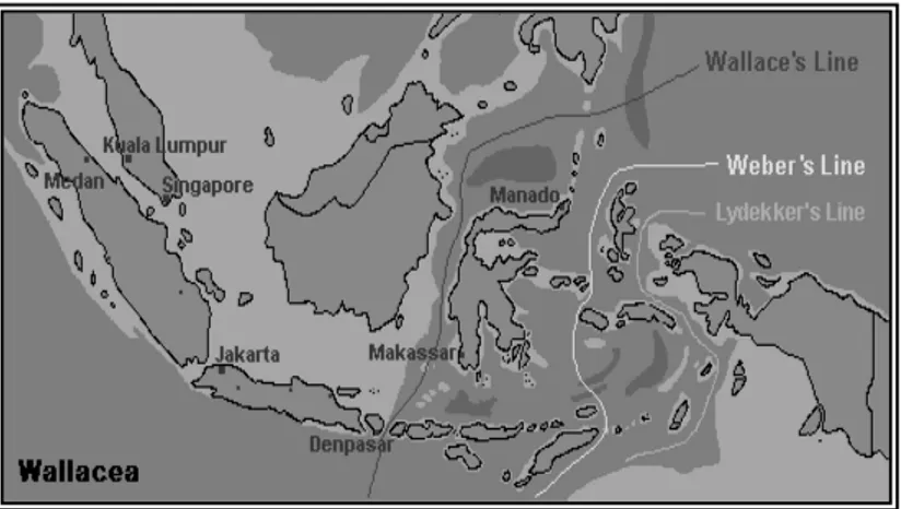 Gambar peta persebaran binatang di Indonesia 
