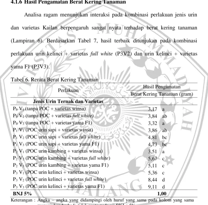 Tabel 6. Rerata Berat Kering Tanaman 