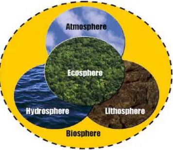 Gambar Komponen Biosfer 