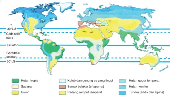 Gambar 1.16 Hewan Khas Tundra (Sumber:www.wths.net)