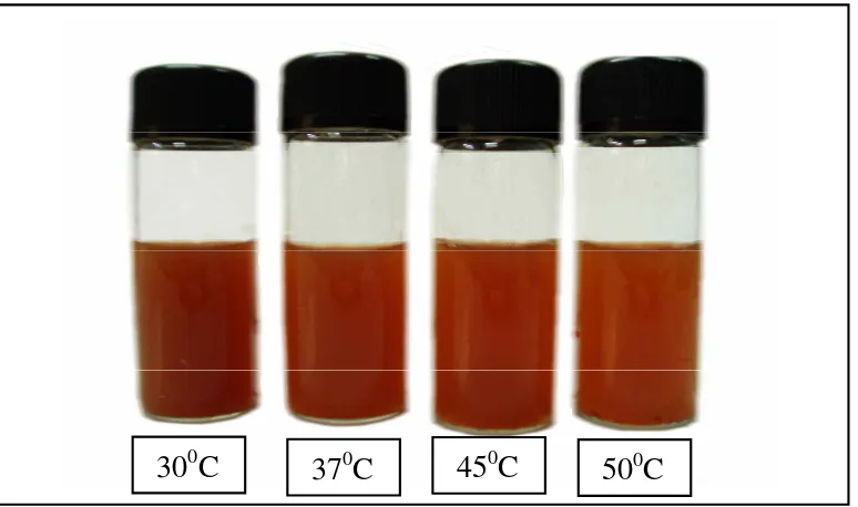 Gambar 24  Ekstrak vanili segar yang diperoleh dengan perlakuan ekstraksi         pada suhu inkubasi enzim β-glukosidase yang berbeda 