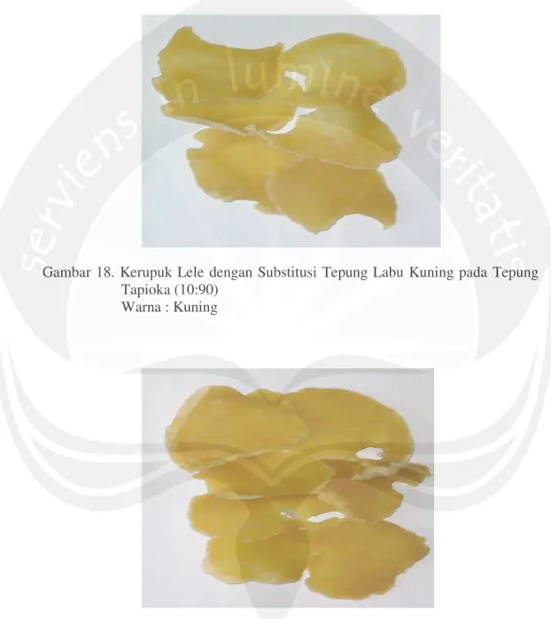 Gambar 18. Kerupuk  Lele dengan Substitusi Tepung  Labu  Kuning pada  Tepung  Tapioka (10:90) 