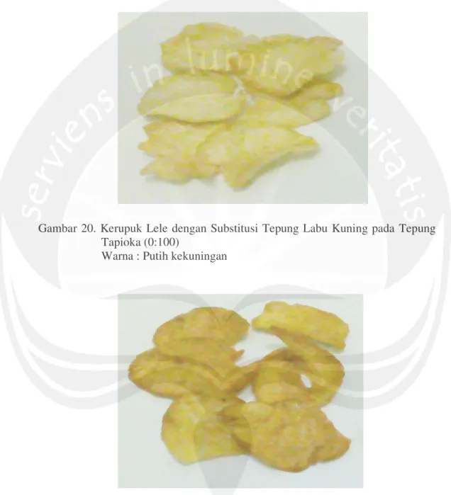 Gambar 20. Kerupuk  Lele dengan Substitusi Tepung  Labu  Kuning pada  Tepung  Tapioka (0:100) 