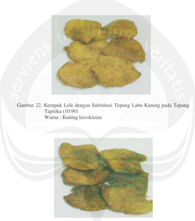 Gambar 22. Kerupuk  Lele dengan Substitusi Tepung  Labu  Kuning pada  Tepung  Tapioka (10:90) 