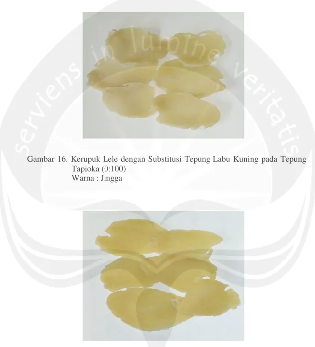 Gambar 16. Kerupuk  Lele dengan Substitusi Tepung  Labu  Kuning pada  Tepung  Tapioka (0:100) 