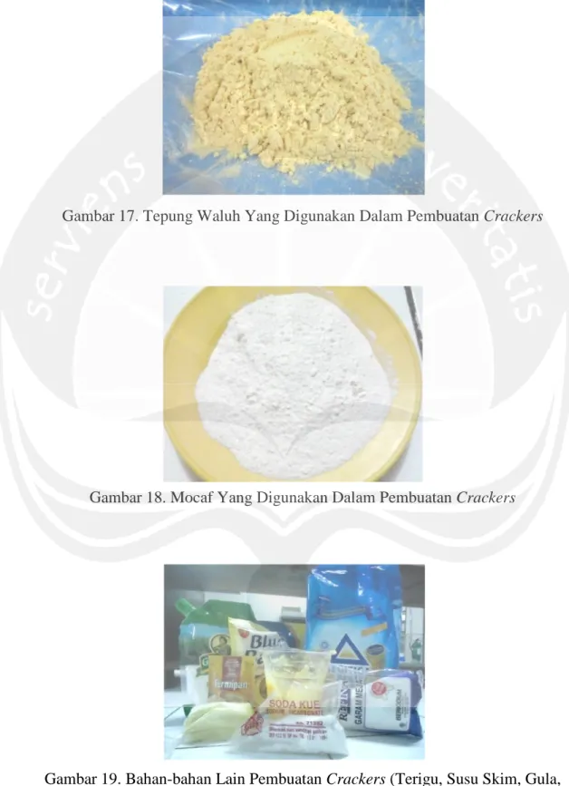 Gambar 17. Tepung Waluh Yang Digunakan Dalam Pembuatan Crackers