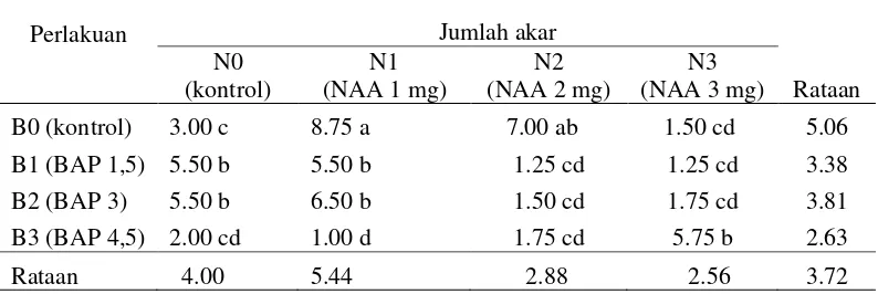 Tabel 3. Pengaruh konsentrasi NAA dan BAP terhadap jumlah akar (buah)  