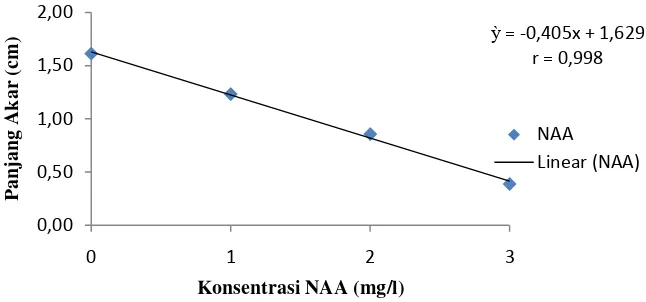 Tabel 4. Pengaruh konsentrasi NAA dan BAP terhadap panjang akar (cm)  