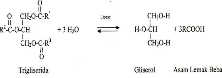 Gambar 4.1. Reaksi Hidrolisis trigliserida oleh enzim lipase 