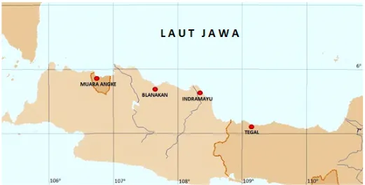 Gambar 1. Lokasi sampling ikan kembung (R. brachysoma) di pantai Utara Jawa.