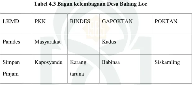 Tabel 4.3 Bagan kelembagaan Desa Balang Loe