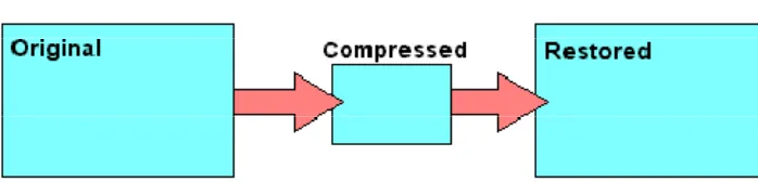 Gambar 2.1. Kompresi Lossless (Pu, 2006) 