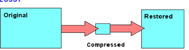 Gambar 2.2. Ilustrasi Kompresi Lossy(Sayood, 2006) 