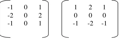 Gambar 3.13 Dua Buah Matriks Kernel 