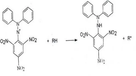 Gambar 2. 1 Reaksi DPPH (1,1-difenil-2- pikrilhidrazil) dengan Antioksidan (Sumber : Masrifah, 2017) 